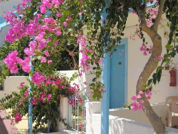 Castelia Bay Hotel Αμμοοπή Εξωτερικό φωτογραφία
